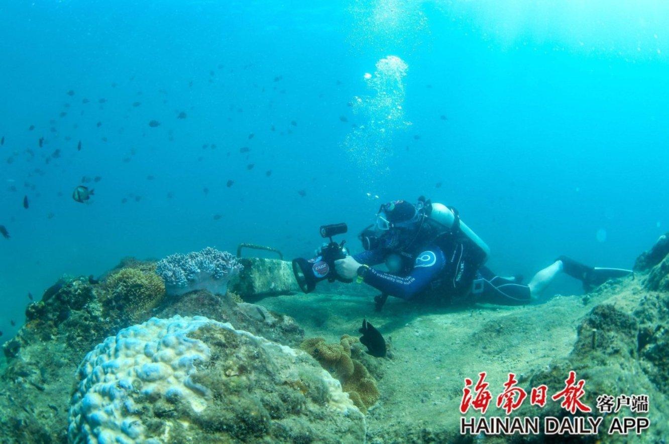 逃出神奇蘑菇林